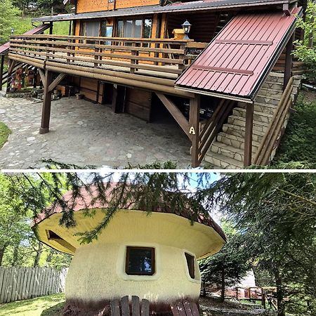 Art Apartments Minic Kolaşin Dış mekan fotoğraf