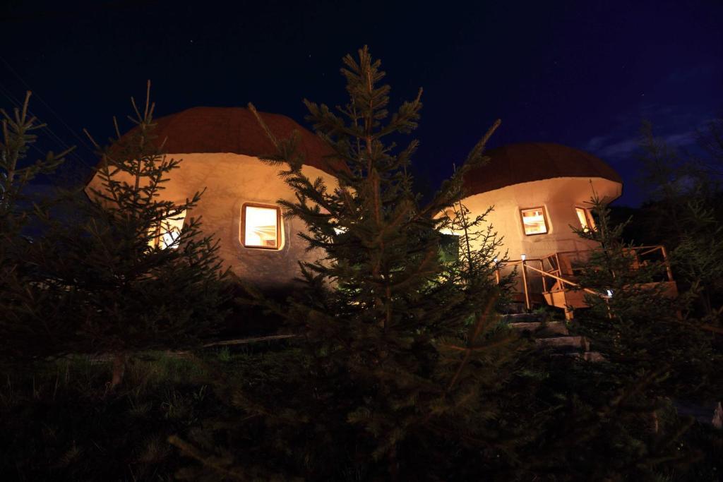 Art Apartments Minic Kolaşin Oda fotoğraf